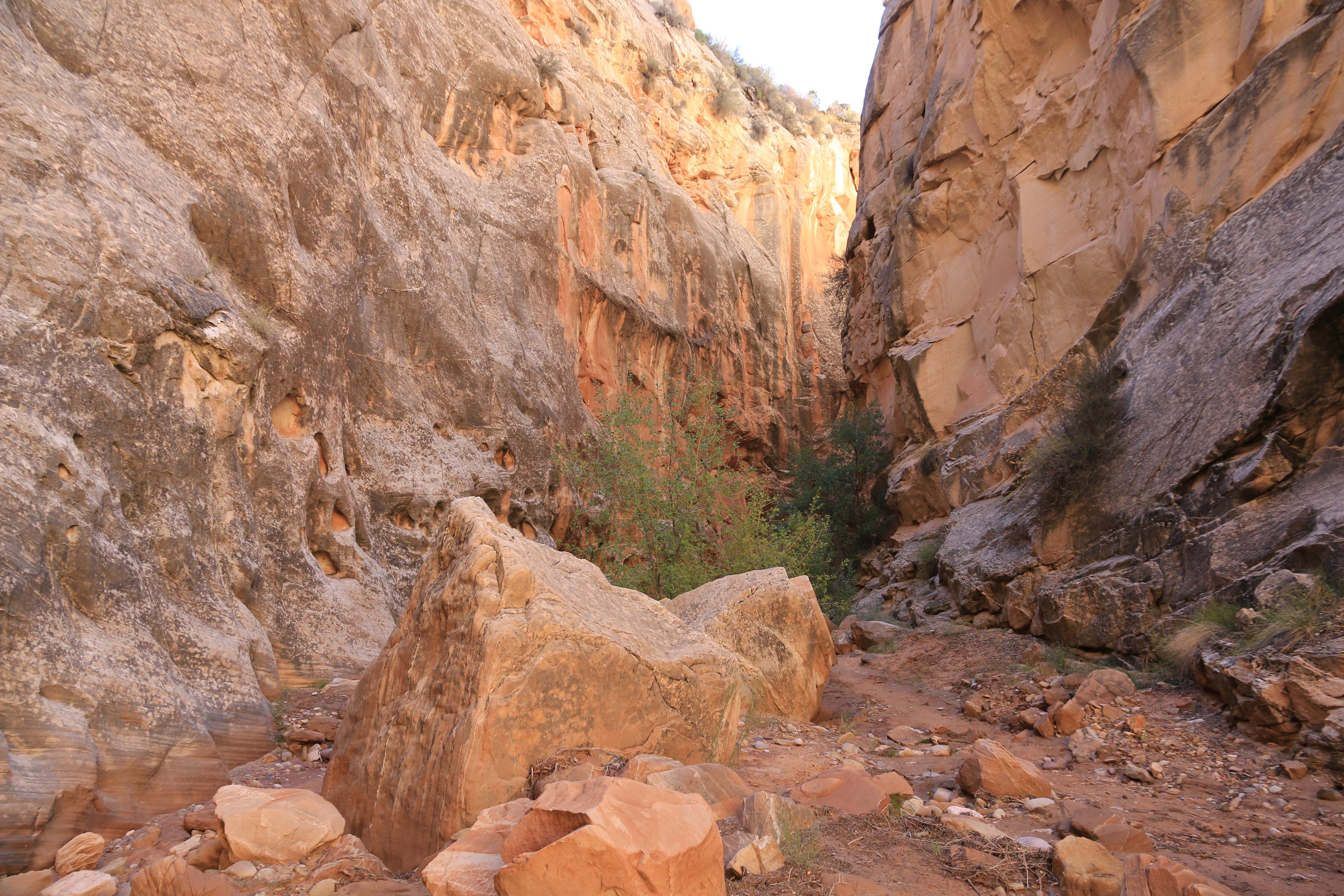 Escalante